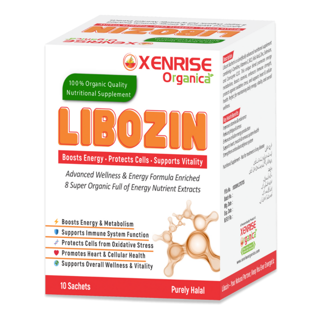 libozin mockup 2